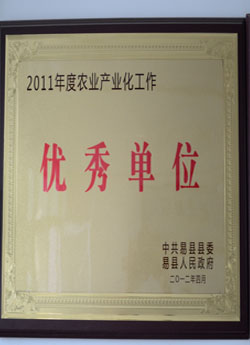 榮譽(yù)證書