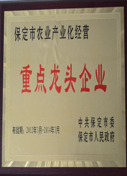 榮譽(yù)證書